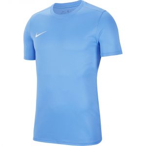Vyriški futbolo marškinėliai Nike Dry Park VII JSY SS BV6708 412