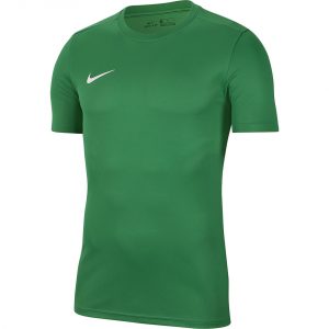 Vyriški futbolo marškinėliai Nike Dry Park VII JSY SS BV6708 302