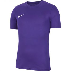 Vyriški futbolo marškinėliai Nike Dry Park VII JSY SS BV6708 547