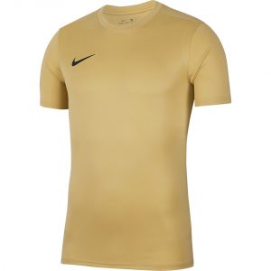 Vyriški futbolo marškinėliai Nike Dry Park VII JSY SS BV6708 729