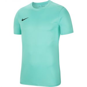 Vyriški futbolo marškinėliai Nike Dry Park VII JSY SS BV6708 354