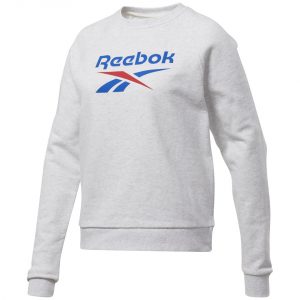 Moteriškas džemperis Reebok Classic Big Vector Crew FT FT6225