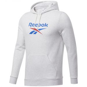 Vyriškas džemperis Reebok Classic Vector Hoodie FT7297