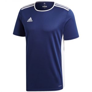 Vaikiški futbolo marškinėliai adidas Entrada 18 Jersey JUNIOR CF1036