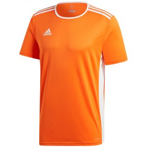 Vyriški futbolo marškinėliai adidas Entrada 18 Jersey CD8366