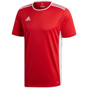 Vyriški futbolo marškinėliai adidas Entrada 18 Jersey CF1038