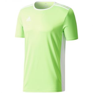 Vyriški futbolo marškinėliai adidas Entrada 18 Jersey CE9758