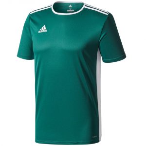 Vyriški futbolo marškinėliai adidas Entrada 18 Jersey CD8358
