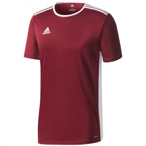 Vyriški futbolo marškinėliai adidas Entrada 18 Jersey CD8430
