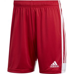 Vyriški futbolo šortai adidas Tastigo 19 Shorts DP3681