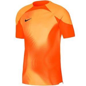 Vyriški vartininko marškinėliai Nike Dri-FIT Adv Gardien IV GK JSYSS DH7760 819